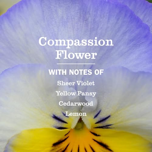 CLEAN DAY Multi-Surface Cleaner, Compassion Flower, 16 fl oz - view 3