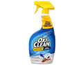 Carpet Stain Remover - 24oz