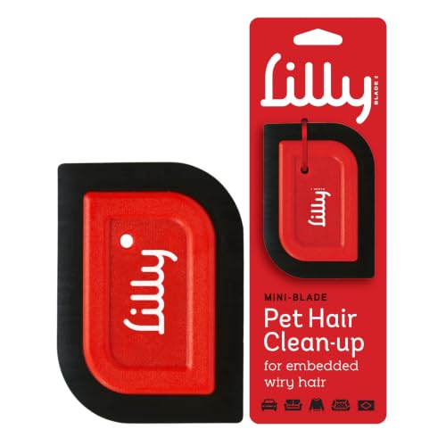 Mini Pet Hair Detailer | Reusable Fur Remover for Car Interior, Carpet, Couch & Furniture