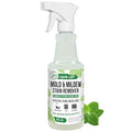 Mold & Mildew Stain Remover Spray, Rapid Clean for Bathroom, Kitchen, Hard Water, Outdoors, Natural Peppermint Scent, 16oz