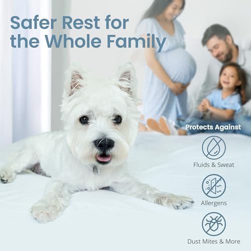 Zippered Mattress Protector - Premium 9-12 Inch Waterproof Mattress Cover for Bed - Breathable, Noiseless Washable Mattress Encasement - Queen - view 6