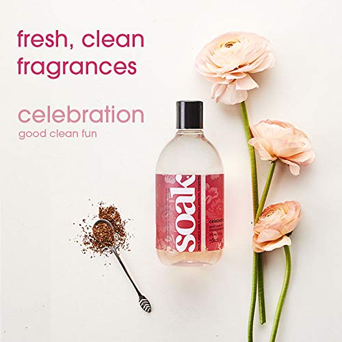 Laundry Soap – No Rinse, Plant Derived Hand Wash Detergent - 375 ml / 12 fl. oz, 75+ Washes (Celebration) - view 2