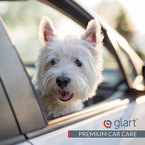 (Exclusive 44THB Premium Dog Brush Pet Hair Brush Removes Pet Hair and Dirt from All Car Seats, Cushions, Carpets - view 7