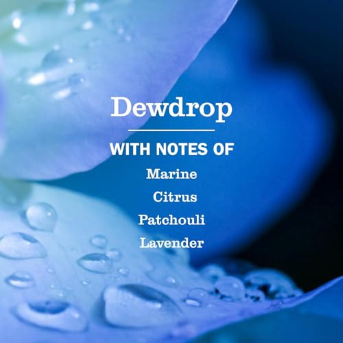 Clean Day Dewdrop Scent Variety Pack, 1 Room Freshener 8 Fl Oz, 1 Liquid Dish Soap 16 Fl Oz, 1 Liquid Hand Soap 12.5 Fl Oz, 1 Multi-surface Cleaner 16 Fl Oz, Dewdrop, 1 CT - view 5