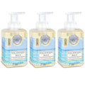 Foaming Hand Soap, Beach, 17.8 Fl oz, Pack of 3
