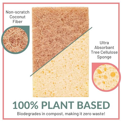 Mega Bulk Eco Sponge Bundle - view 2
