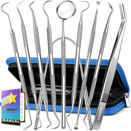 10 Pack Dental Tools Kit, Professional Teeth Cleaning Set