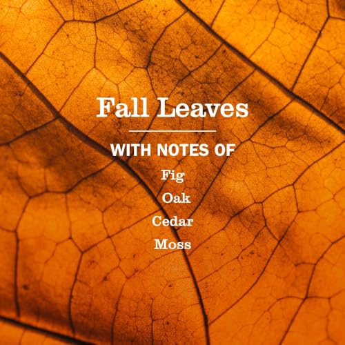 Fall Leaves Kitchen Set Variation, Includes Dish Soap, Hand Soap and Multi-Surface Cleaner, 3 ct. - view 4