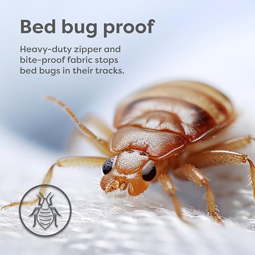 Pillow Encasement- Zippered Bed Bug Dust Mite Proof Hypoallergenic - Sleep Defense System - Standard - Waterproof - Set of 2 - 20" H x 26" W - view 4