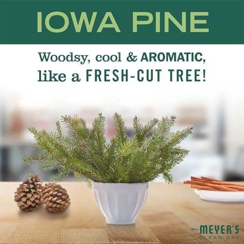 Clean Day Countertop Spray, Iowa Pine, 16 Fluid Ounce (Pack of 2) - view 5