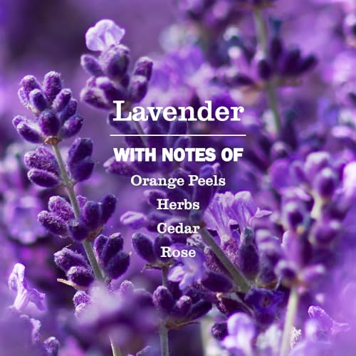 CLEAN DAY Dryer Sheets, Lavender, 80 ct - view 3