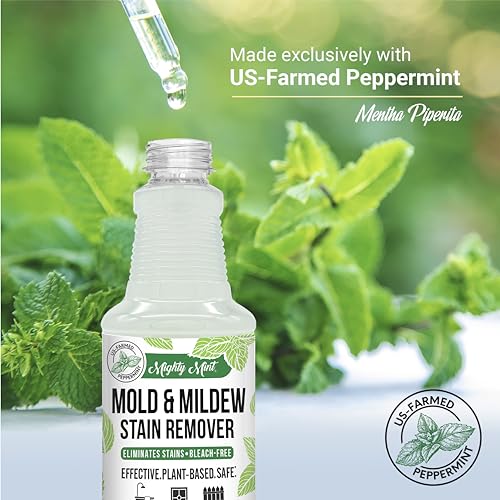 Mold & Mildew Stain Remover Spray, Rapid Clean for Bathroom, Kitchen, Hard Water, Outdoors, Natural Peppermint Scent, 16oz - view 5