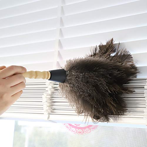 Natural Gray Ostrich Feather Duster,2 Packs,Car Duster Interior/Exterior Cleaner, Cleaning for Blinds Kitchen Keyboard Office, Smart and Soft and Fluffy (Gray) - view 4