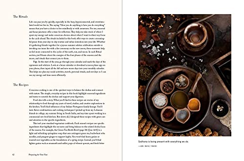 Living Ayurveda: Nourishing Body and Mind through Seasonal Recipes, Rituals, and Yoga - view 7
