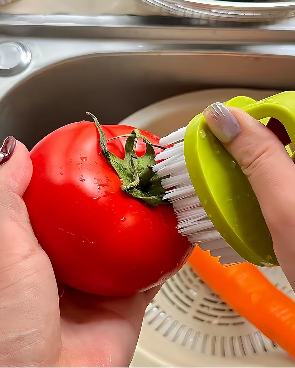 Vegetable Scrubber Brush -2 Pack Fruit and Vegetable Brushes Stiff Bristles | Vegetable Brush Scrubber for Food,Veggie Wash Brush,Vegetable Cleaner Brush for Fruits,Potatoes,Carrots & Firm Produce - view 5