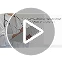 Pillow Encasement- Zippered Bed Bug Dust Mite Proof Hypoallergenic - Sleep Defense System - Standard - Waterproof - Set of 2 - 20" H x 26" W - view 7